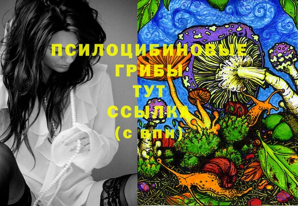 гашиш Надым
