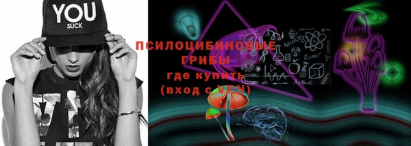 молекула духа Нефтекумск