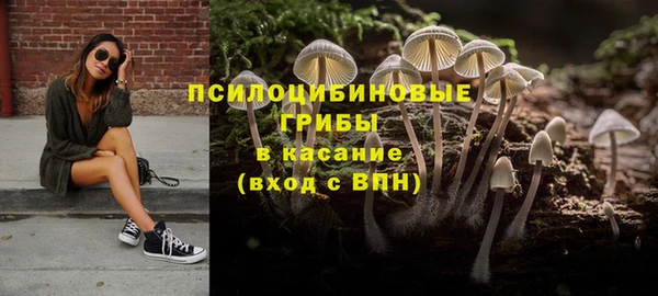 молекула духа Нефтекумск