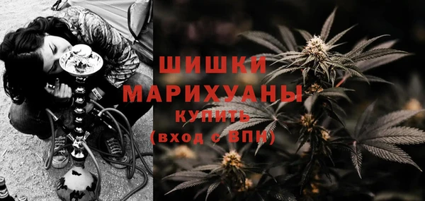 молекула духа Нефтекумск