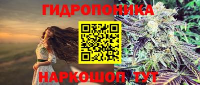 стафф Жуковский