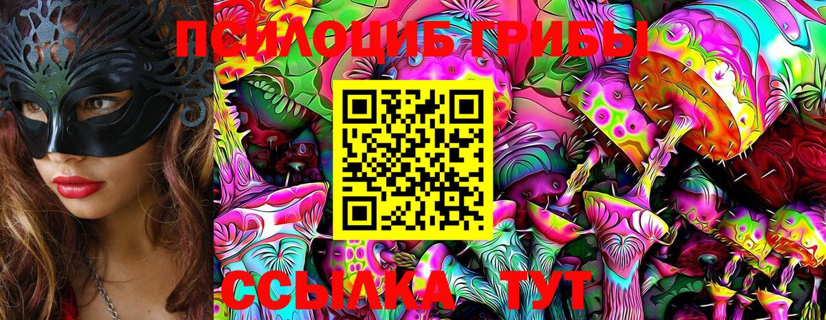 Псилоцибиновые грибы Psilocybe Тамбов
