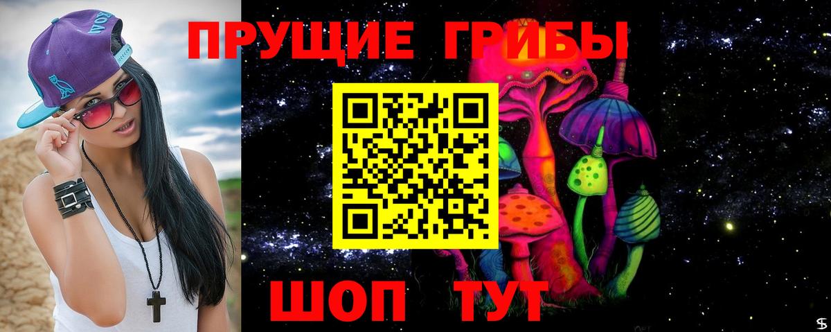 Тамбов  Псилоцибиновые грибы Psilocybe  где можно купить   Вход с VPN 